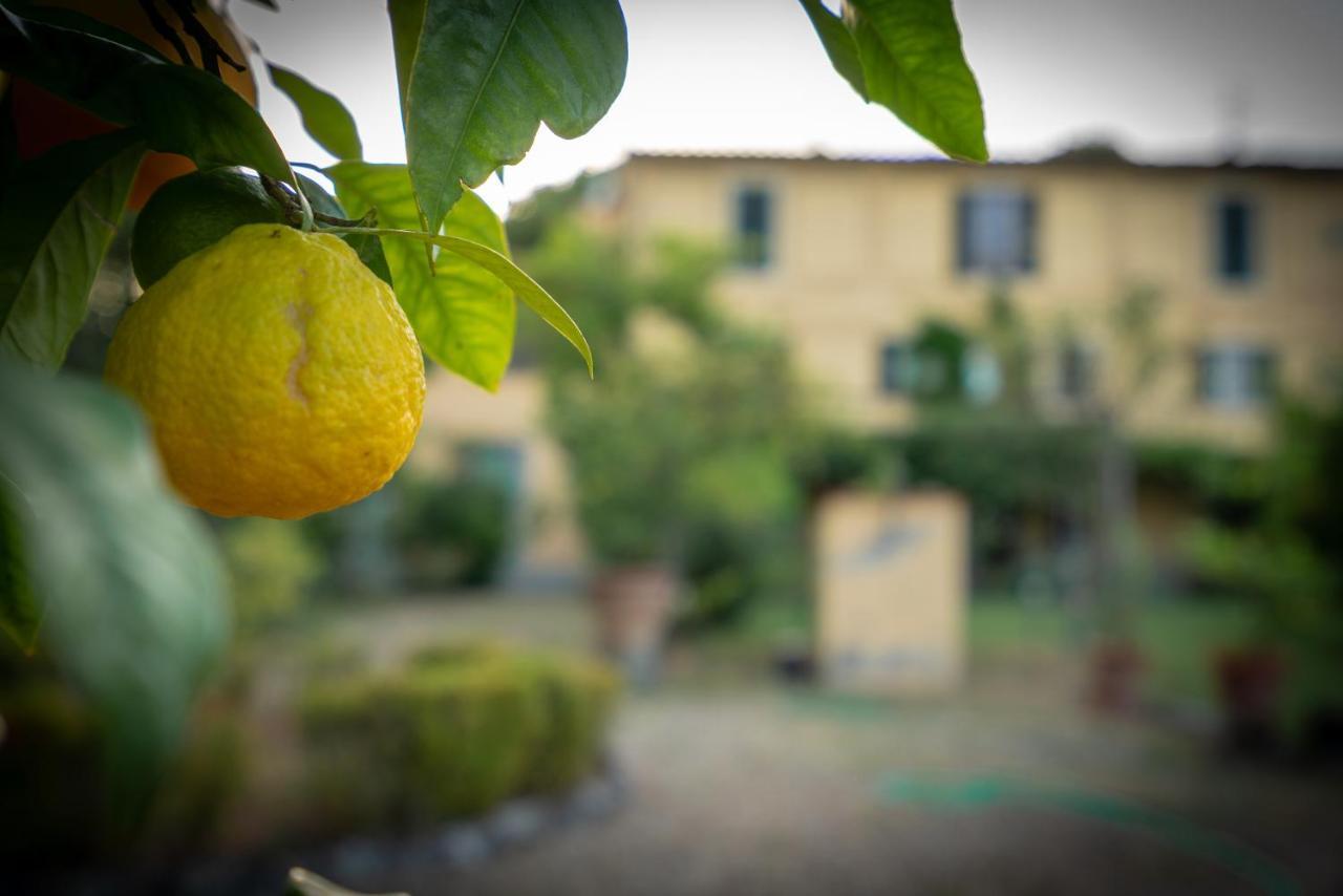 Villa Ape Rosa Relais Флоренція Екстер'єр фото